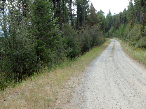 GDMBR, north of Cold Creek, MT.